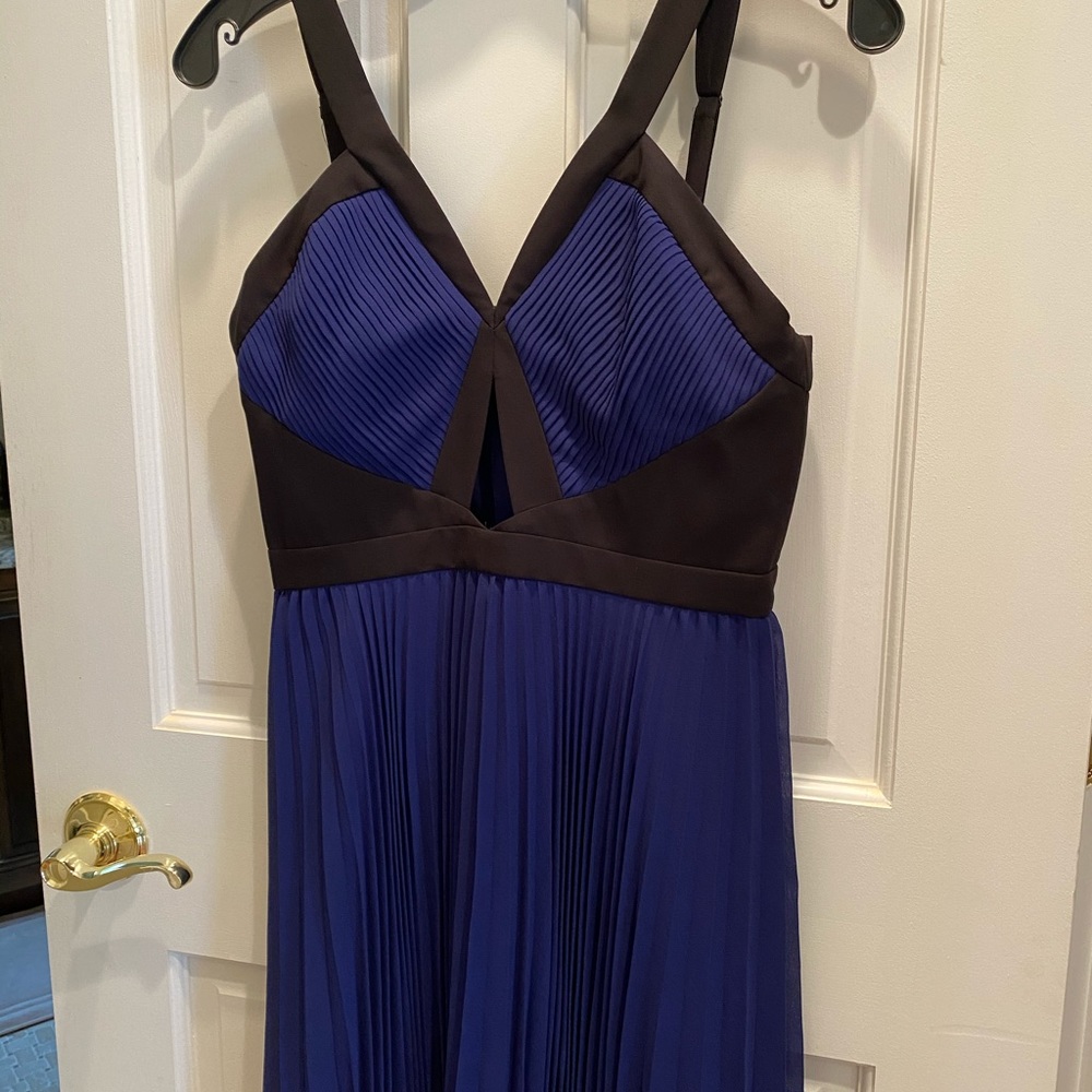 BCBG cocktail dress.